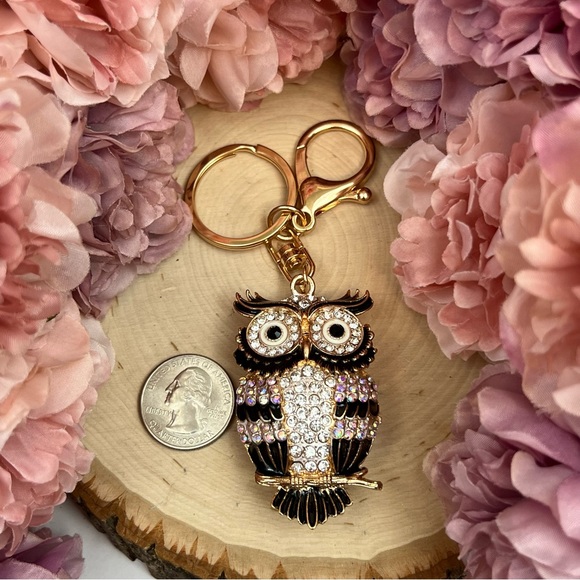 Beautiful Black and Silver Crystal Owl Keychain Charm - Picture 13 of 14